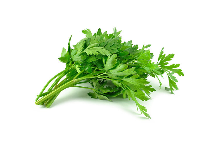 Fresh Veggies Fruits Vegetables Online Delivery Singapore Wholesale Fruits Vegetables for Cafes Hawkers and Restaurant Parsley-001-Fresh Veggies SG Fresh Vegetables Online Delivery in Singapore 香菜