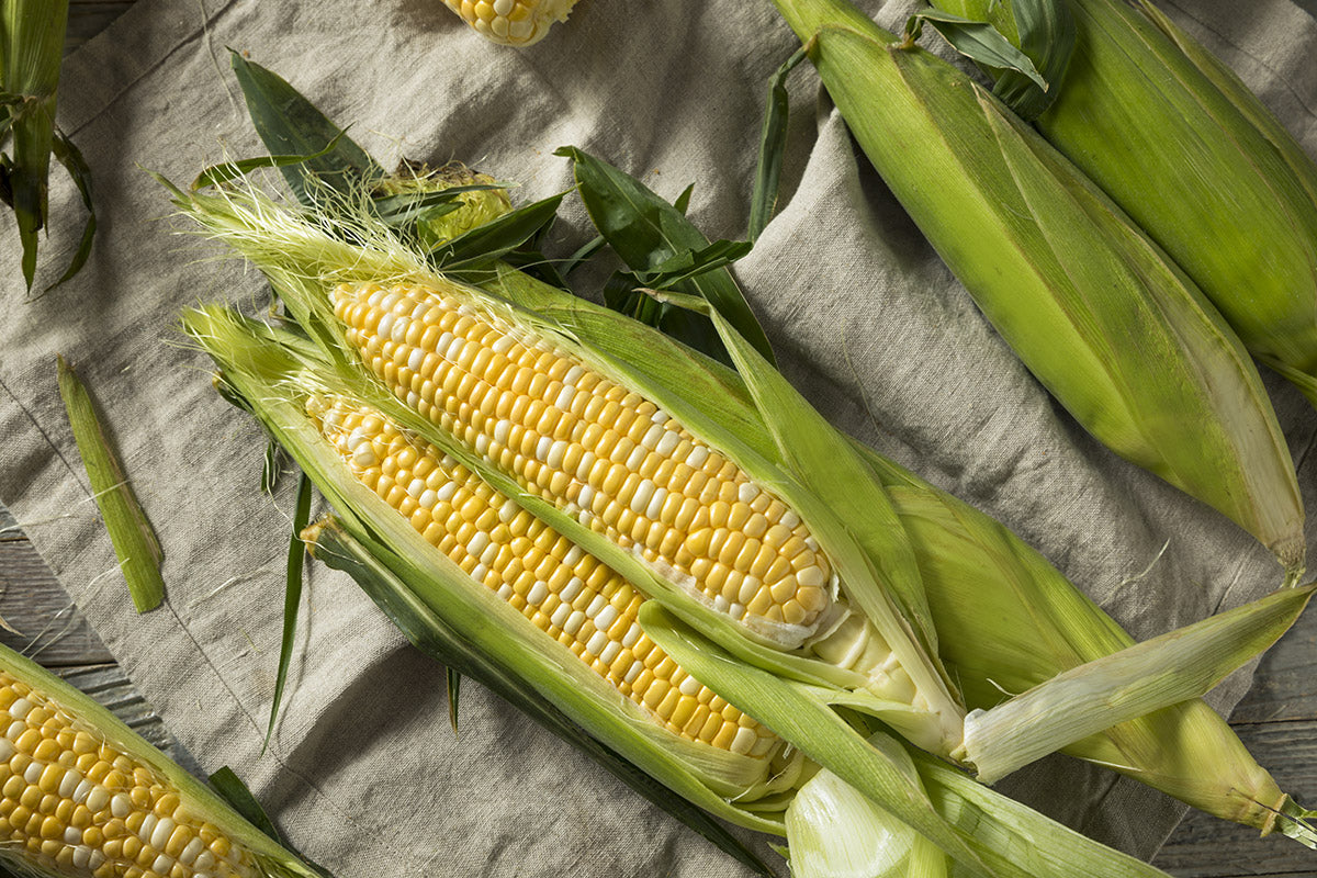 Buy 1 get 1 FREE: White & Yellow Corn* (Promotion Ended)