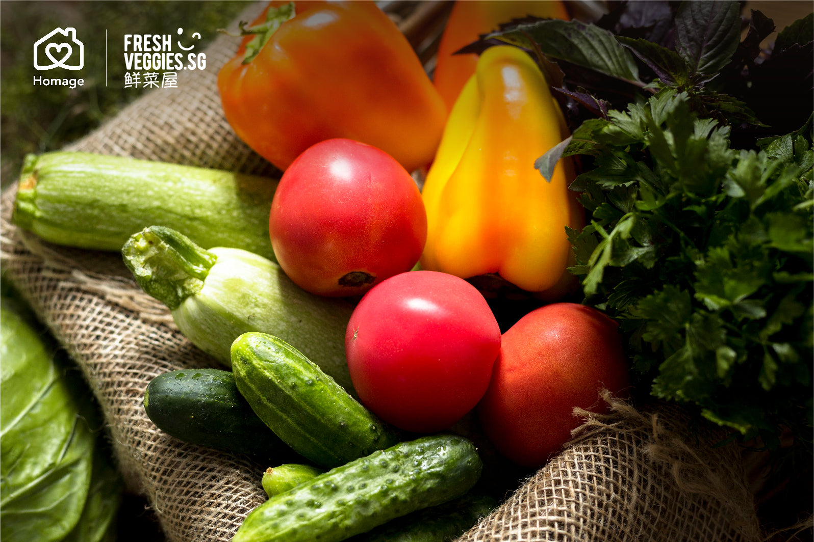 Dietary Guidelines for Post-Surgery Recovery: Foods to Eat & Avoid After Surgery