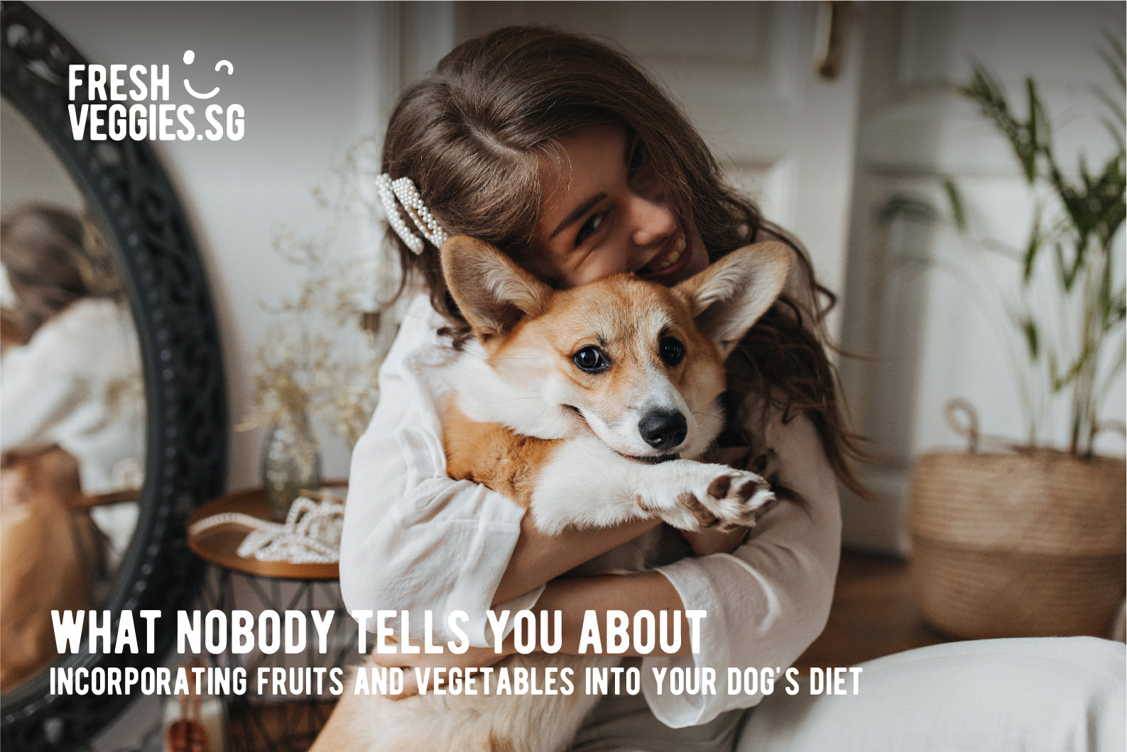 What nobody tells you about incorporating fruits and vegetables into your dog's diet