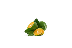Fresh Veggies Fruits Vegetables Online Delivery Singapore Wholesale Fruits Vegetables for Cafes Hawkers and Restaurant - Calamansi  酸橙