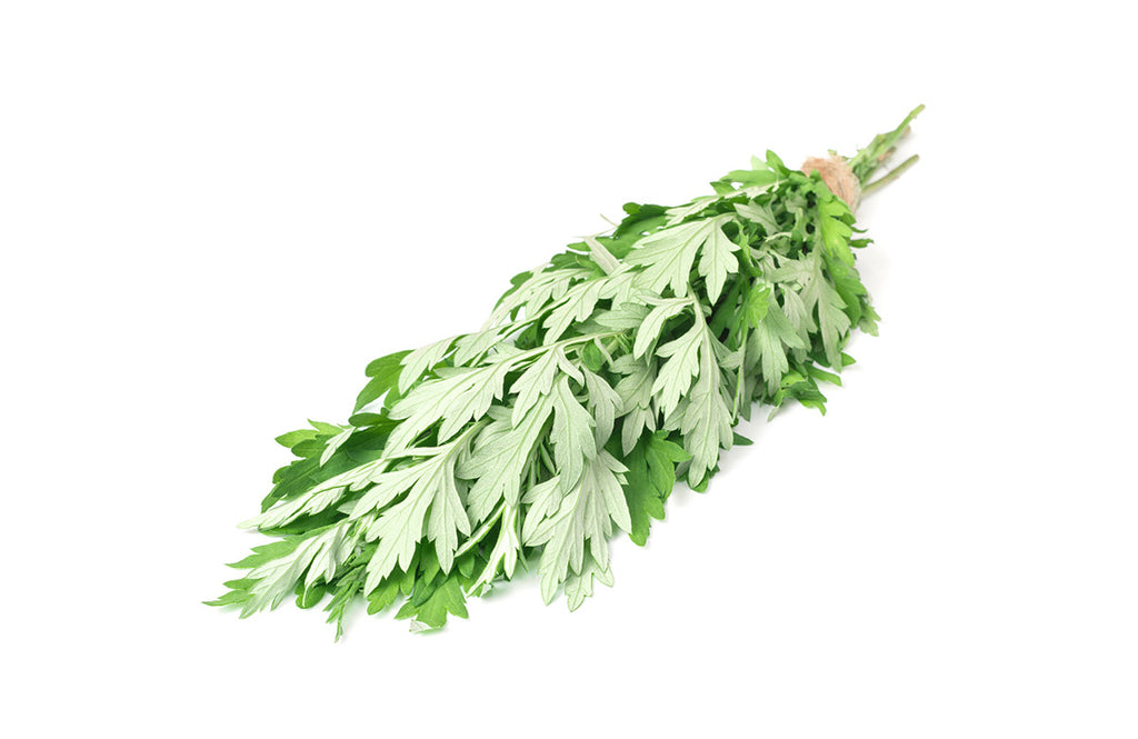 Where to buy Top Number one, 1 Fresh Local Veggies Fruits Vegetables Online Delivery Singapore Wholesale Fruits Vegetables for Cafes Hawkers and Restaurant 新加坡生菜蔬菜水果 Artemisia Argyi/Mugwort Ai Cao (Local) 本地艾草