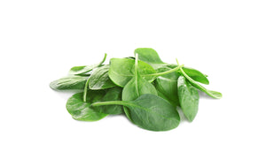 Where to buy Top Number one, 1 Fresh Local Veggies Fruits Vegetables Online Delivery Singapore Wholesale Fruits Vegetables for Cafes Hawkers and Restaurant 新加坡生菜蔬菜水果 Baby Spinach (Amsterdam/Italy) 宝宝菠菜/菠菜苗