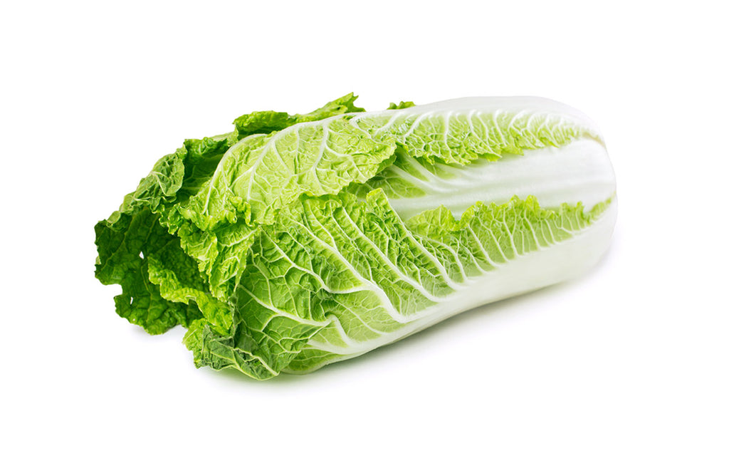 Cabbage Wong Bok-001-Fresh Veggies SG Fresh Vegetables Online Delivery in Singapore 包菜
