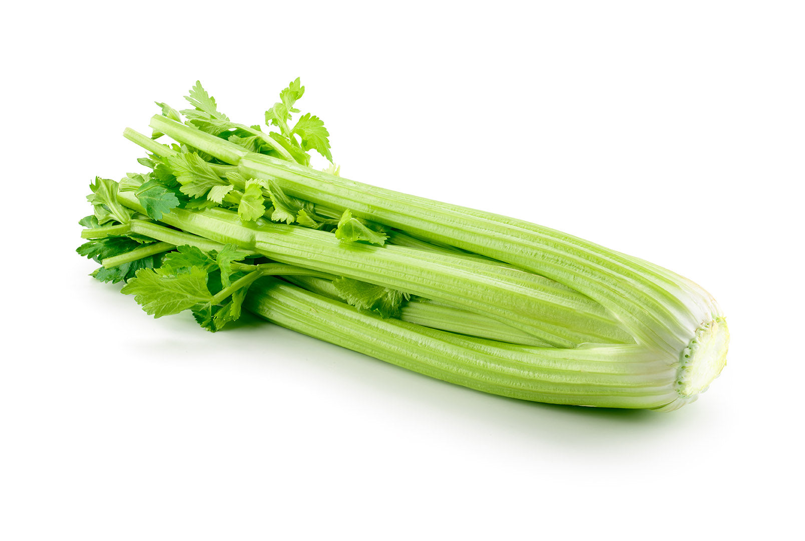 Celery-001-Fresh Veggies SG Fresh Vegetables Online Delivery in Singapore 芹菜