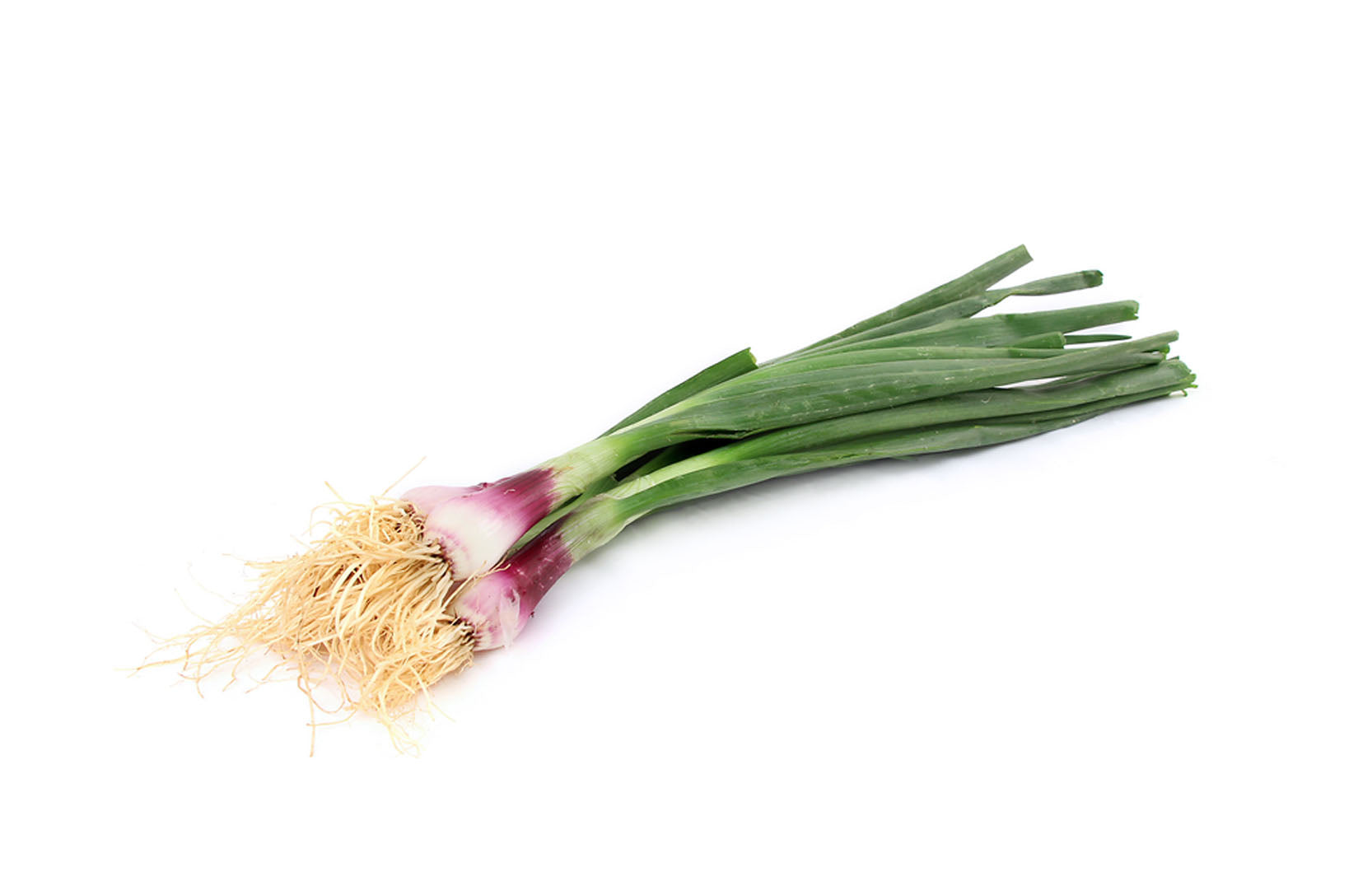 Chinese Leek (Cameron) 蒜