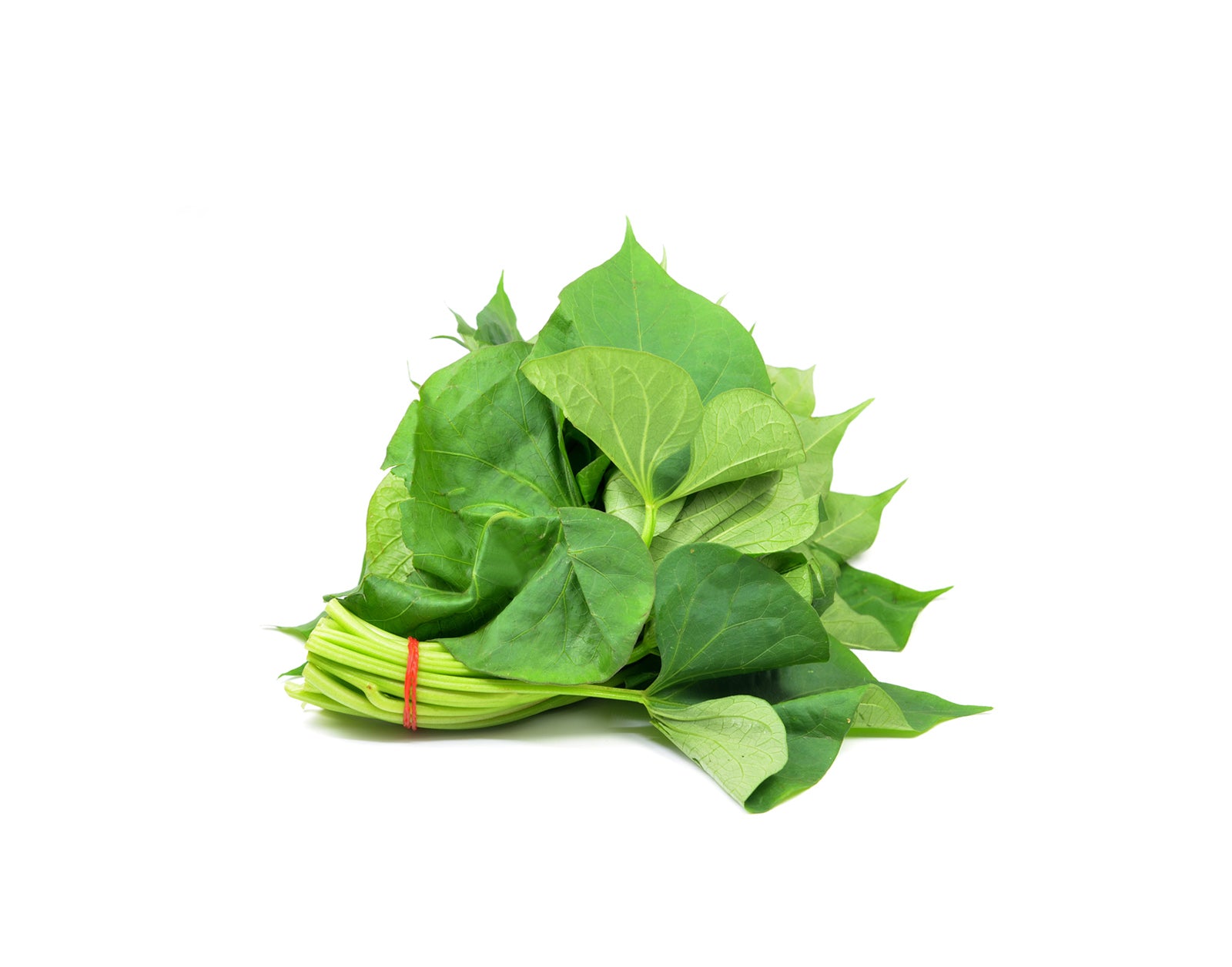 Where to buy Fresh Veggies SG Fresh Fruits and Vegetables Online Delivery in Singapore Near You Organic Sweet Potato Leaves (Local) 本地有机番薯叶