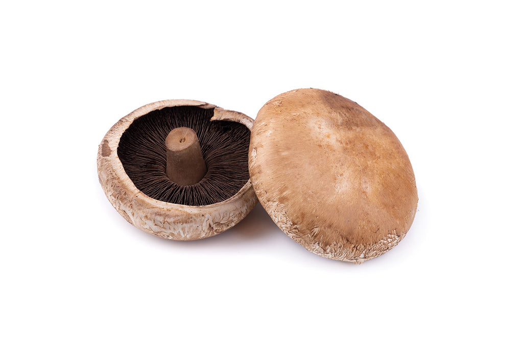 Where to buy Fresh Veggies SG Fresh Fruits and Vegetables Online Delivery in Singapore Near You Portobello Mushroom (Australia) 波托贝罗蘑菇/大瓶菇