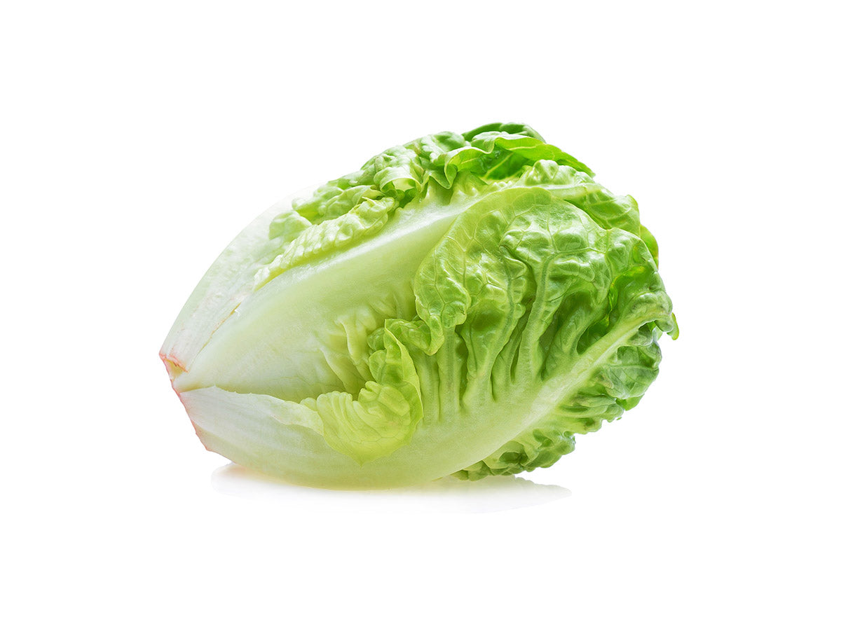 Where to buy Fresh Veggies SG Fresh Fruits and Vegetables Online Delivery in Singapore Near You Romaine Lettuce 油麦胆