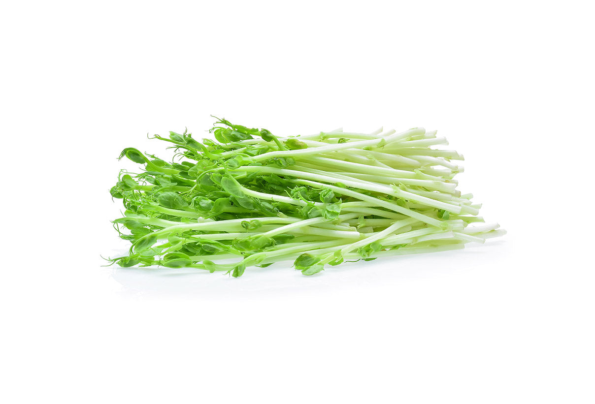 Where to buy Fresh Veggies SG Fresh Fruits and Vegetables Online Delivery in Singapore Near You Snow Pea Sprouts (Local) 本地豆苗