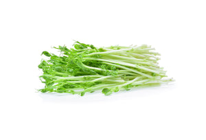 Where to buy Fresh Veggies SG Fresh Fruits and Vegetables Online Delivery in Singapore Near You Snow Pea Sprouts (Local) 本地豆苗
