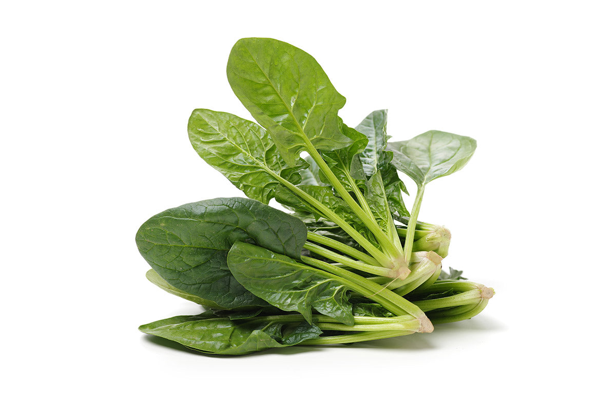 Where to buy Fresh Veggies SG Fresh Fruits and Vegetables Online Delivery in Singapore Near You Spinach (Hong Kong) 菠菜