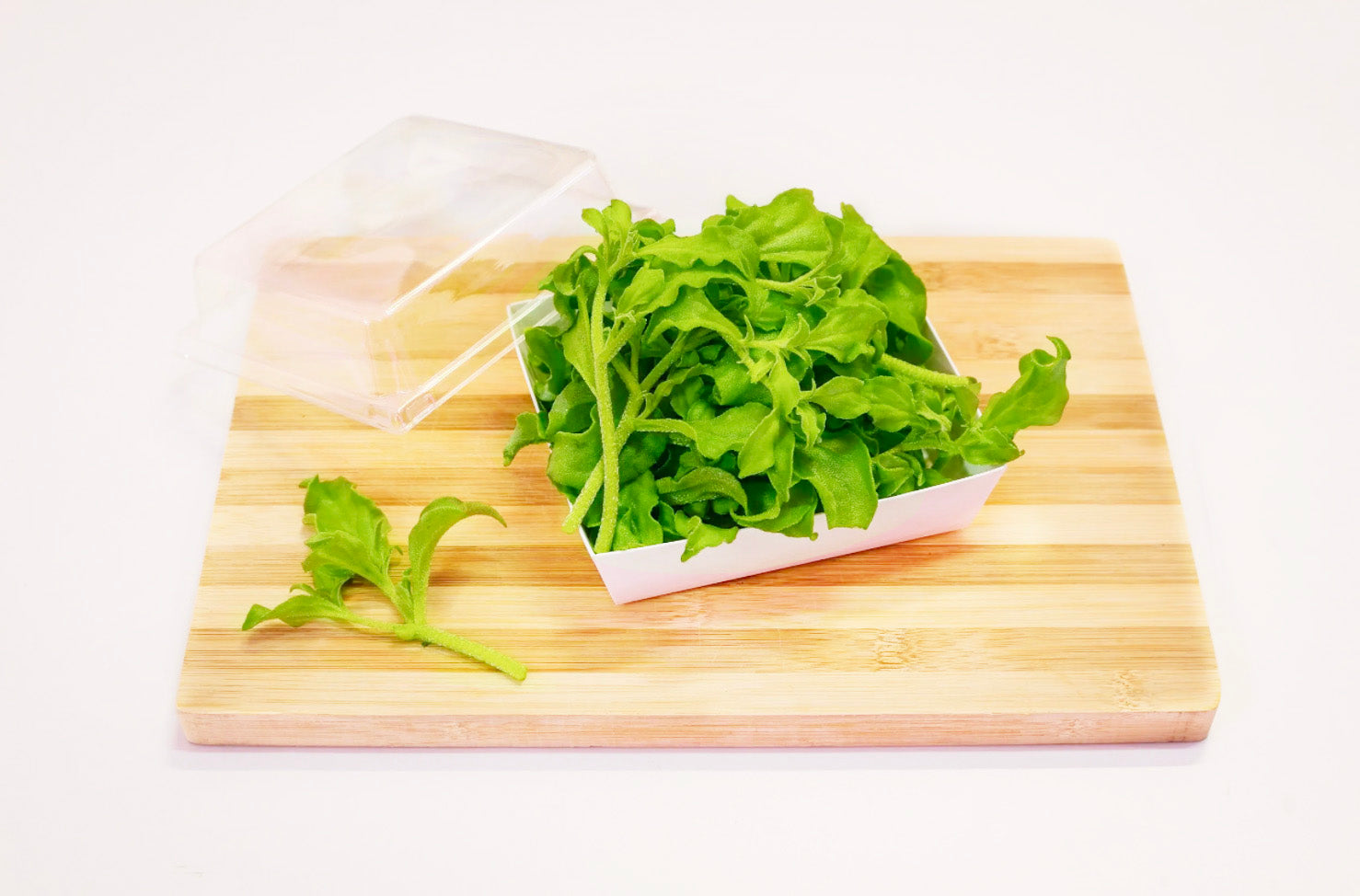 ice plant hydroponic Pesticide Free Hydroponic Ice Plant (Local) 本地水培冰菜 – freshveggies.sg